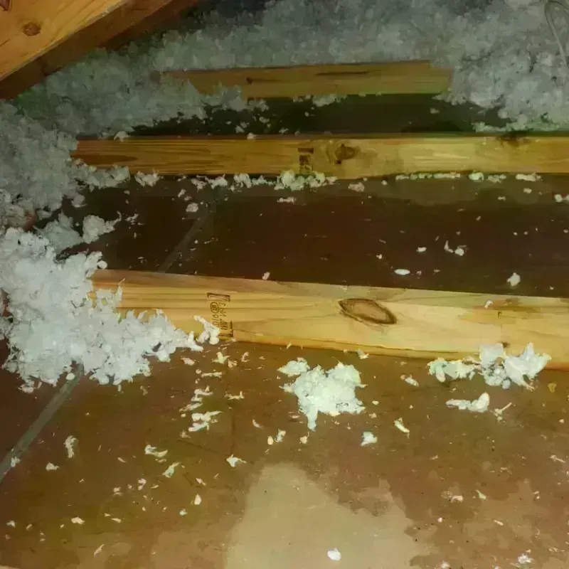 Attic Water Damage in Manchester, WA