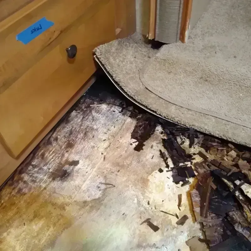 Wood Floor Water Damage in Manchester, WA